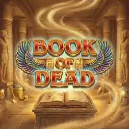 Book of Dead game at Playamo Casino for Australian players