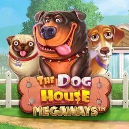 The Dog House Megaways game at Playamo Casino for Australian players