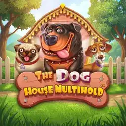 The Dog House Multihold game at Playamo Casino for Australian players